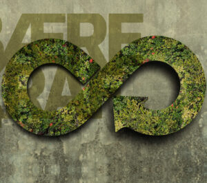 infinity-new-img